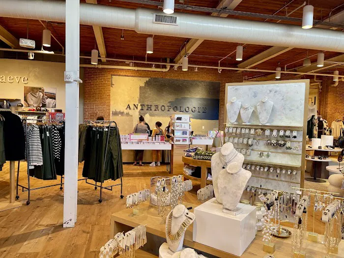 Anthropologie 3
