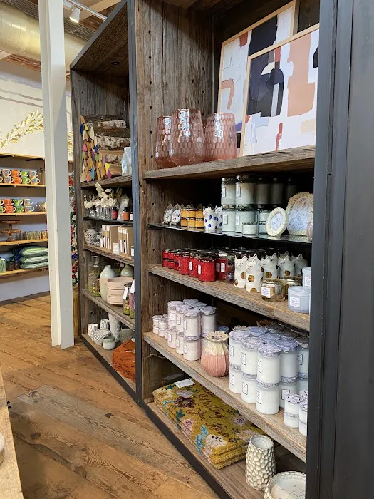 Anthropologie 8