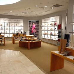 Dillard's ico