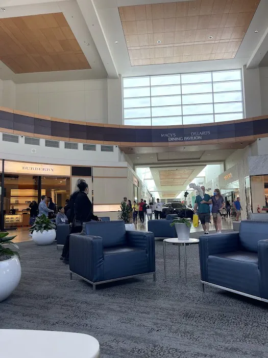 Dillard's 7