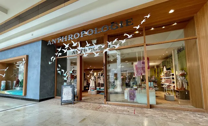 Anthropologie 2