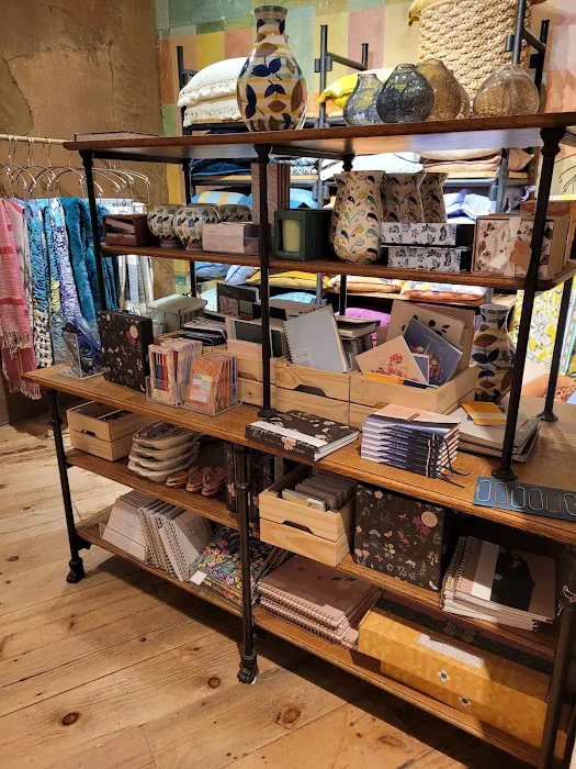 Anthropologie 4