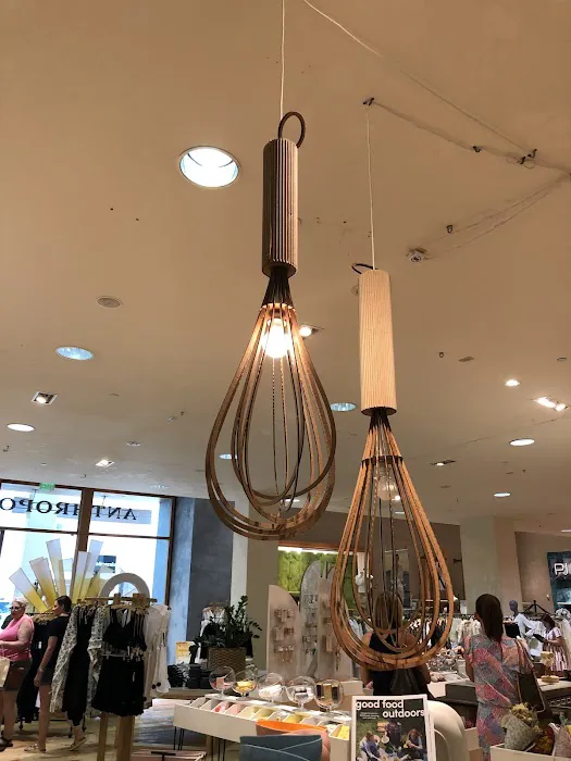 Anthropologie 5