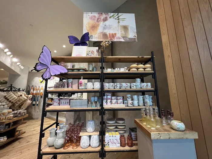 Anthropologie 7