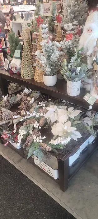 Kohl's 8