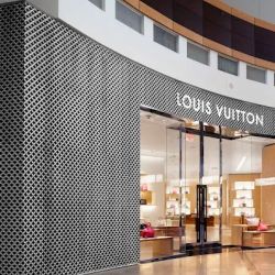 Louis Vuitton Charlotte SouthPark ico