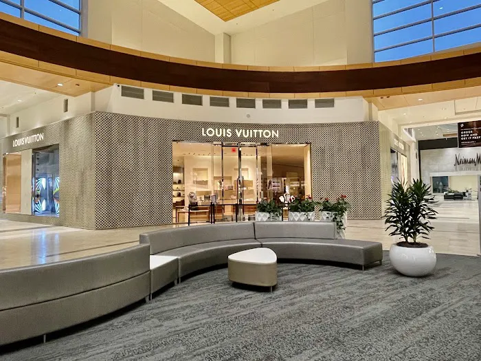 Louis Vuitton Charlotte SouthPark 7