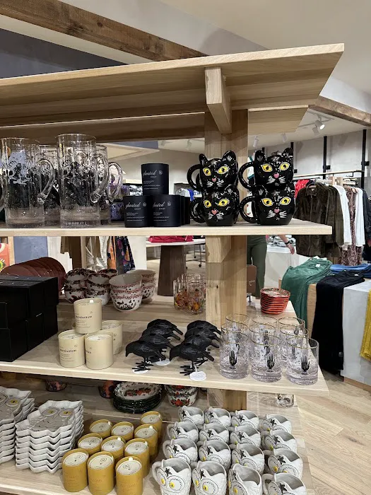 Anthropologie 2