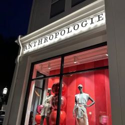 Anthropologie ico