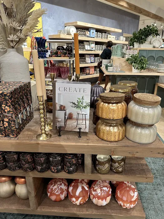 Anthropologie 5