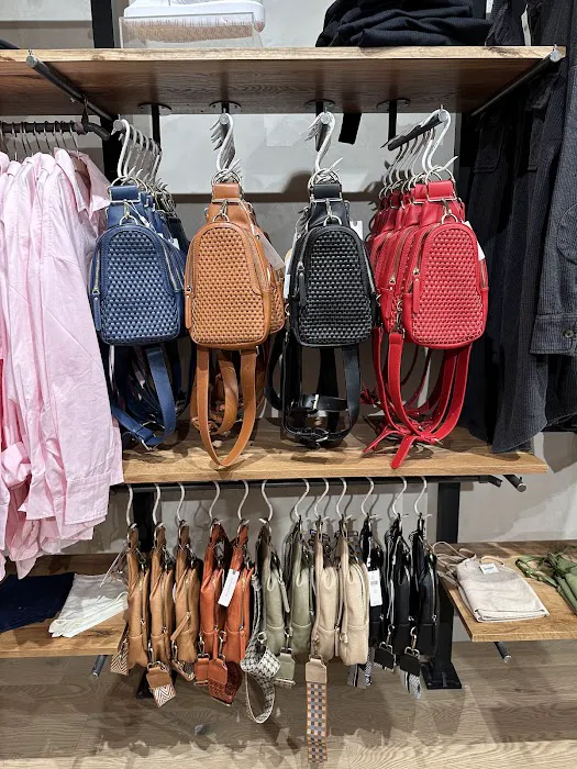 Anthropologie 4