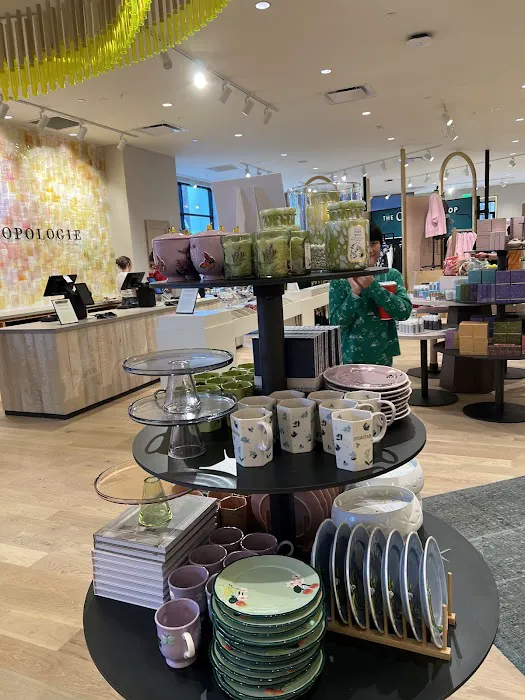 Anthropologie 3