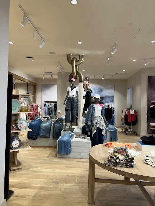 Anthropologie 6