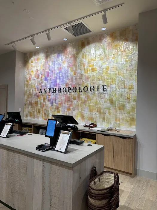 Anthropologie 9