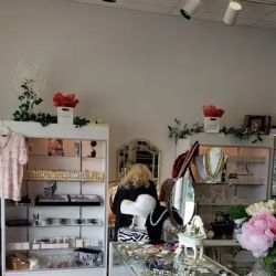 Merle Norman Cosmetics Studio ico