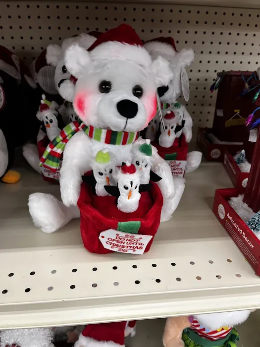 Big Lots 6
