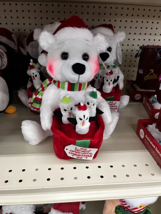 Big Lots 7