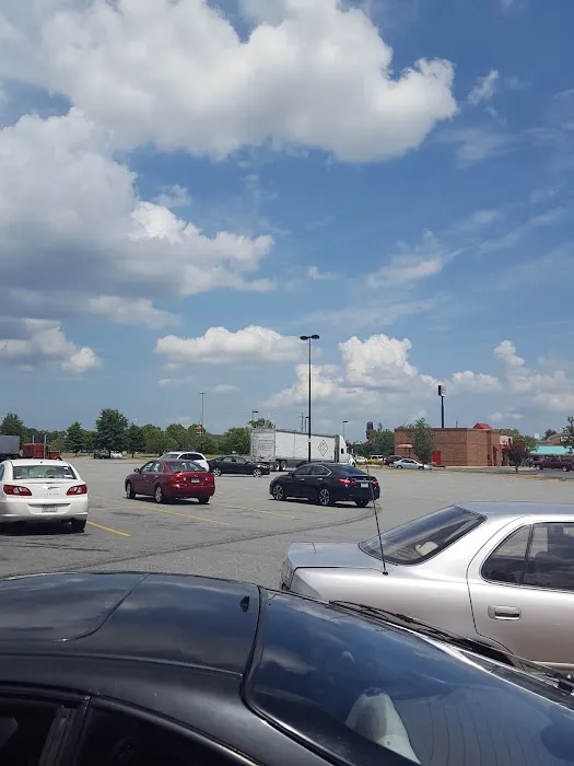 Dollar Tree 6