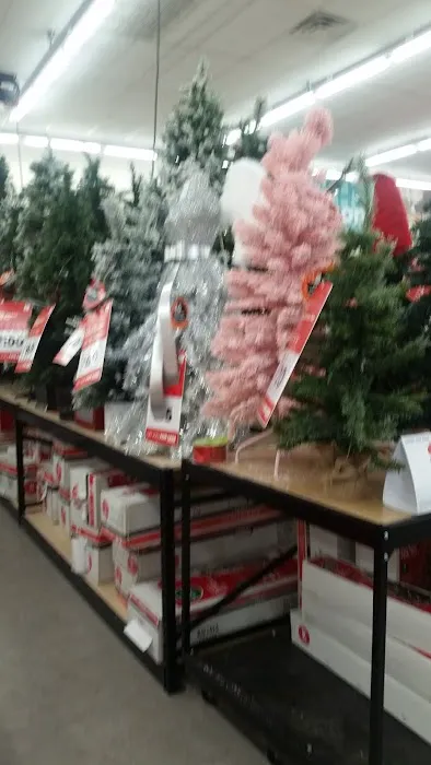 Big Lots 9