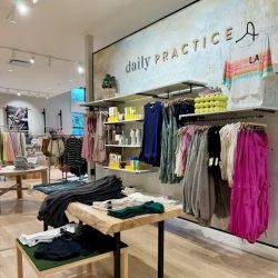 Anthropologie ico