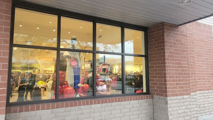 Anthropologie 1