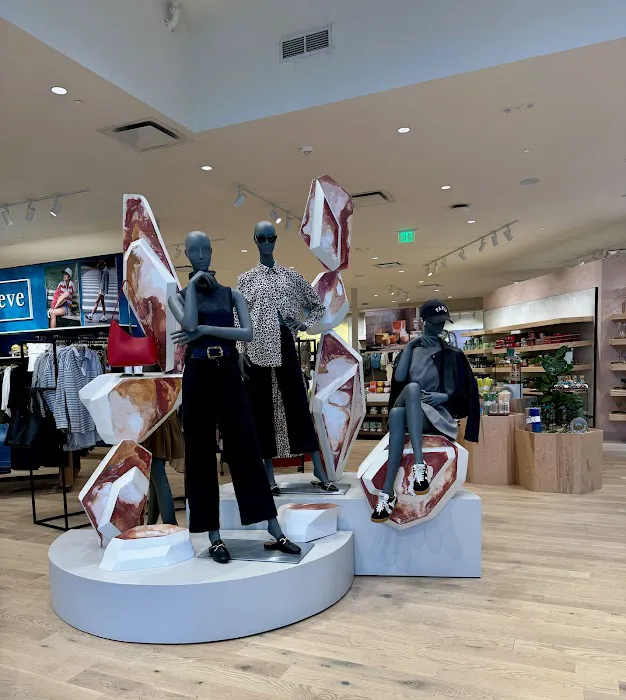 Anthropologie 2