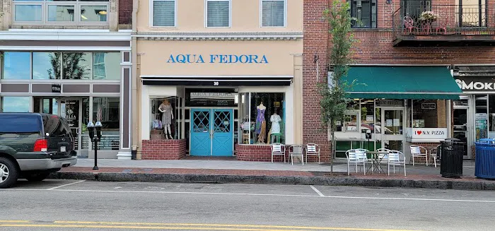 Aqua Fedora 1