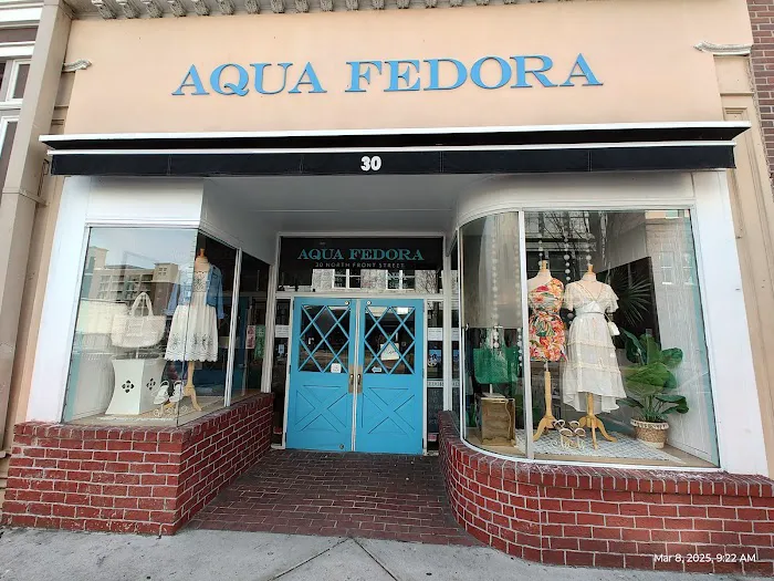 Aqua Fedora 4