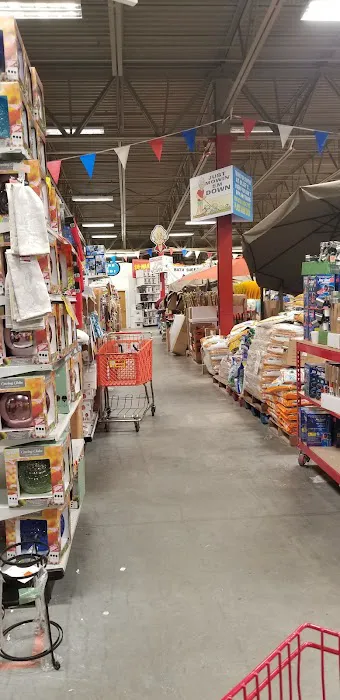 Ollie's Bargain Outlet 8