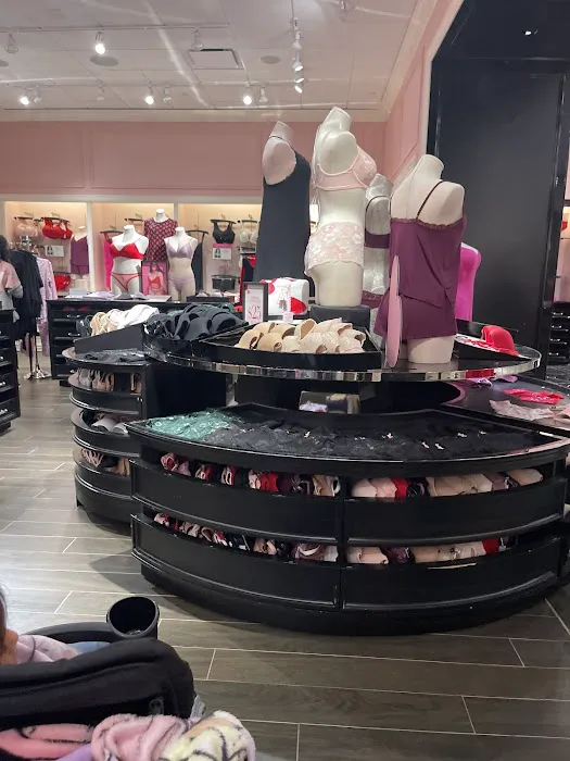Victoria's Secret & PINK by Victoria's Secret 0