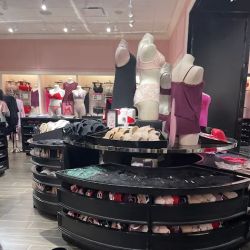 Victoria's Secret & PINK by Victoria's Secret ico