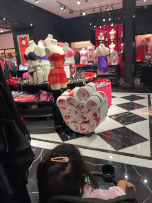 Victoria's Secret & PINK by Victoria's Secret 6