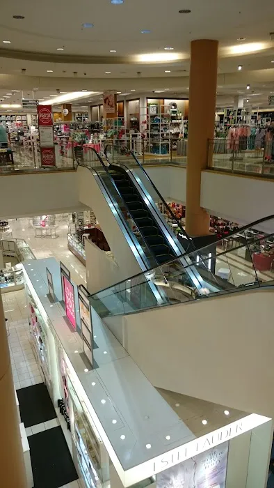 Belk 8