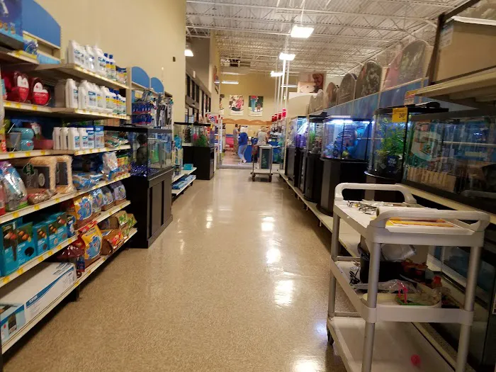 JCPenney 4
