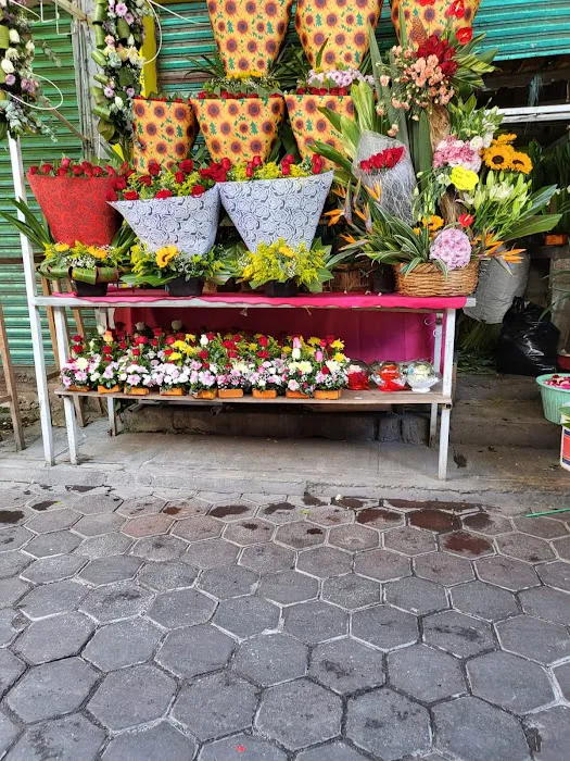 Roses Garden Perfumeria 3