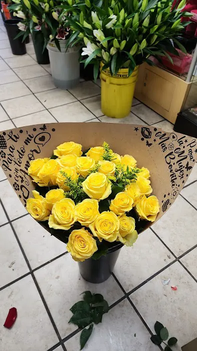 Roses Garden Perfumeria 7