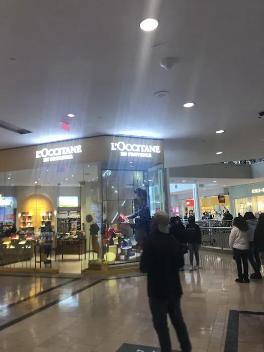 L'OCCITANE EN PROVENCE 6