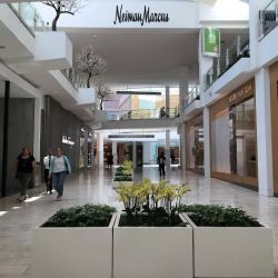 Neiman Marcus ico