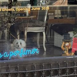 A PERFUME GOLDMINE ico
