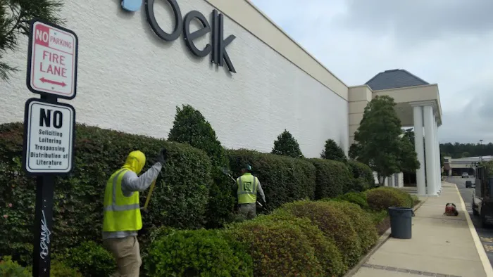 Belk 2