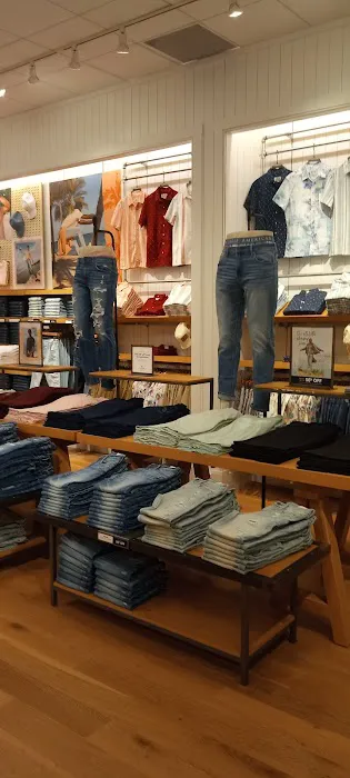 American Eagle 2