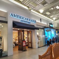 American Eagle & Aerie ico