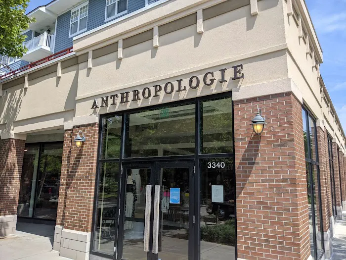 Anthropologie 2