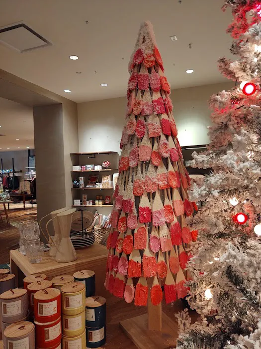 Anthropologie 0