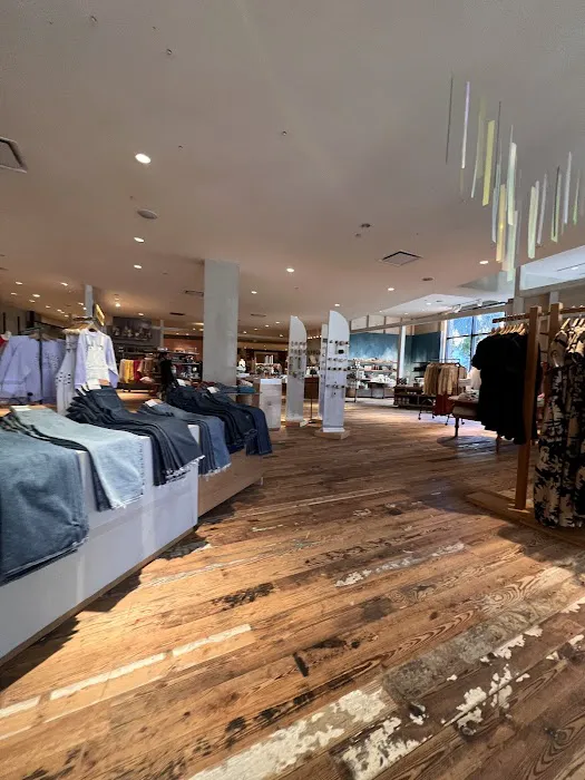 Anthropologie 5