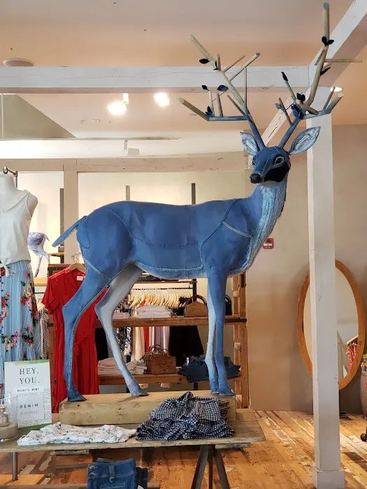 Anthropologie 7
