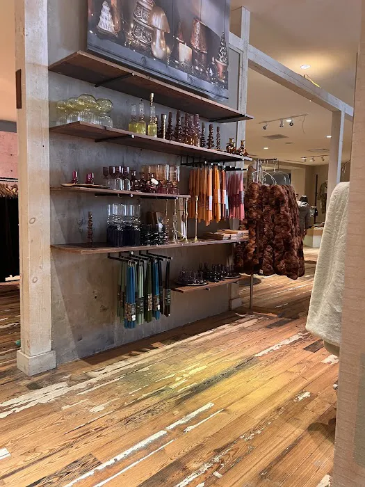Anthropologie 6
