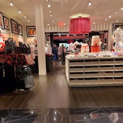 Victoria's Secret & PINK by Victoria's Secret ico