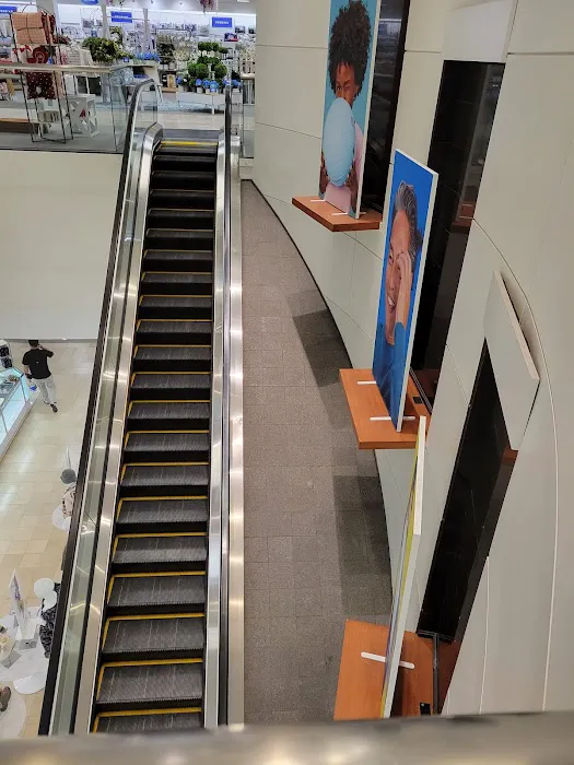 Belk 8
