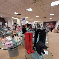 Dillard's ico